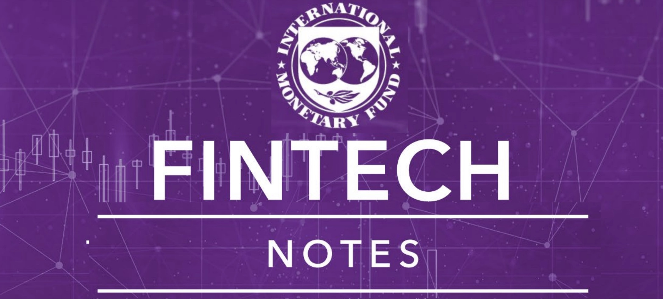 Jeton Tabanlı MBDP'nin Özel Hukuk Boyutları - IMF Raporu, Dijital Türk Lirasının Yol Haritasına Işık Tutabilir Mi?